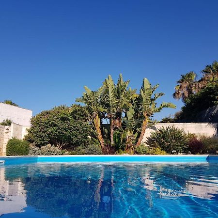 Villa Karmarea مولا دي باري المظهر الخارجي الصورة